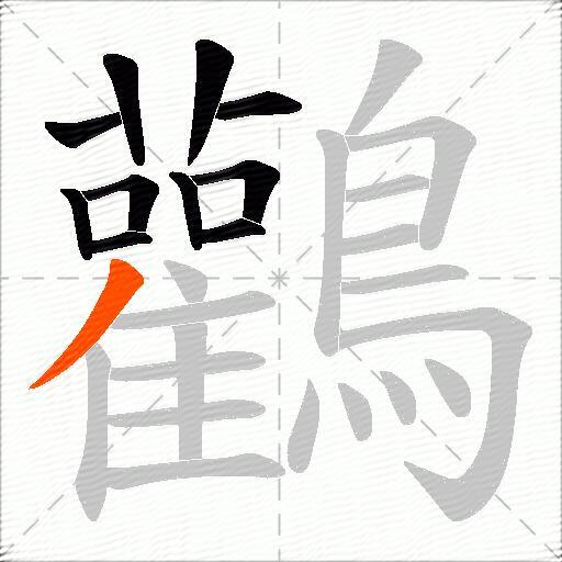 鸛