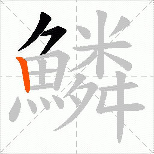 鱗