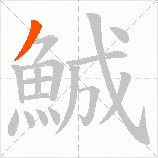 鯎