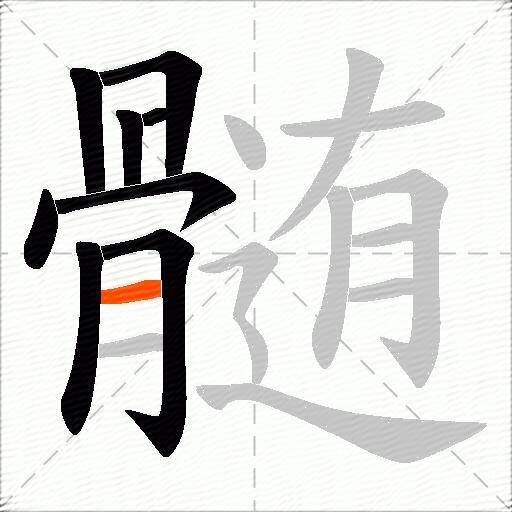 髄