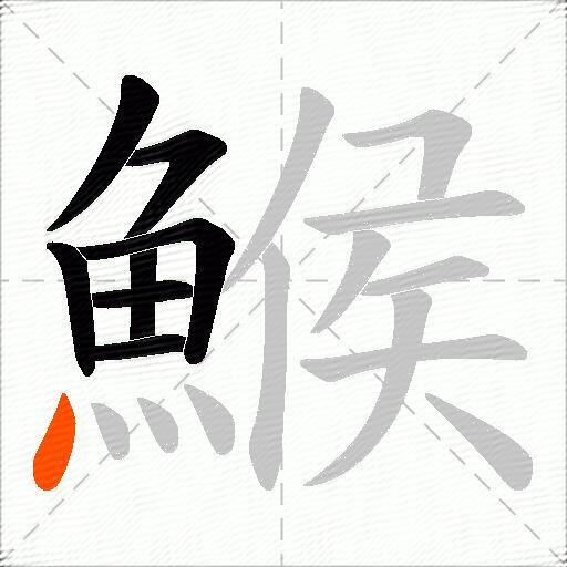 鯸