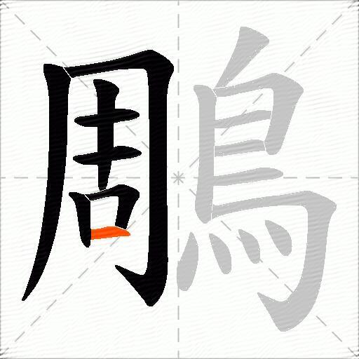 鵰