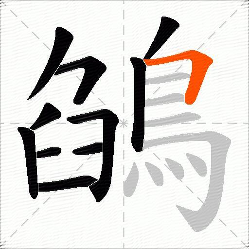 鵮