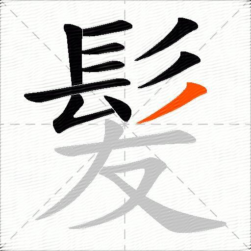 髪