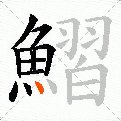 鰼