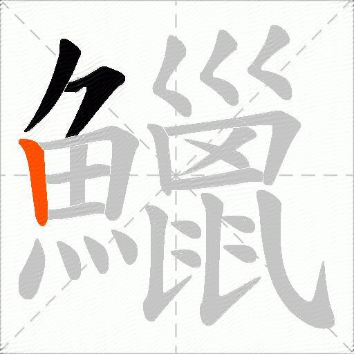 鱲