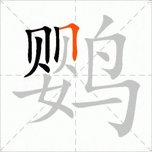 鹦