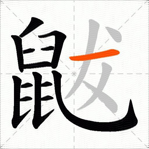 鼥