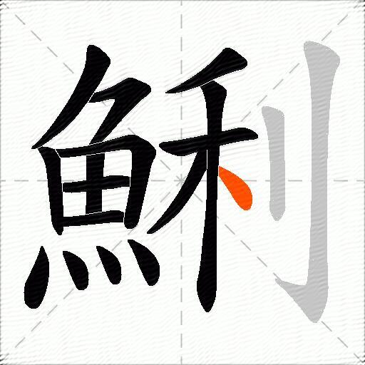 鯏