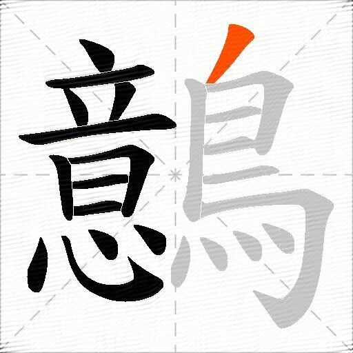 鷾