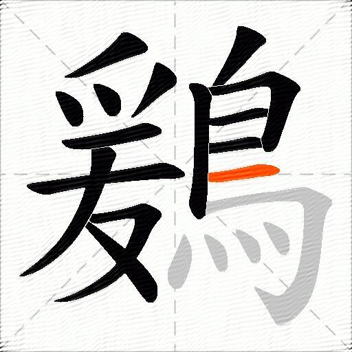 鶢