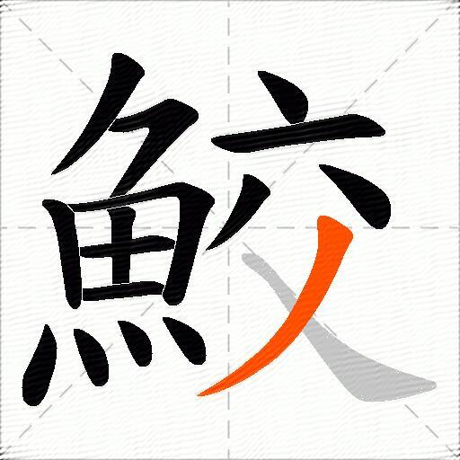 鮫