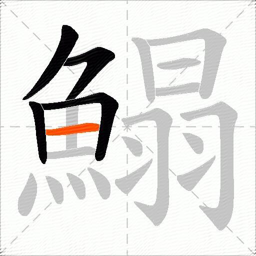鰨
