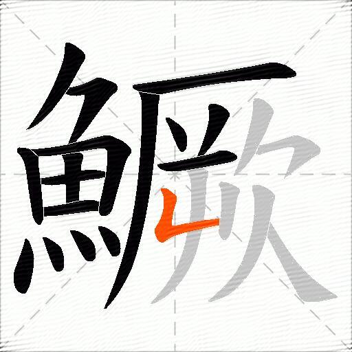鱖