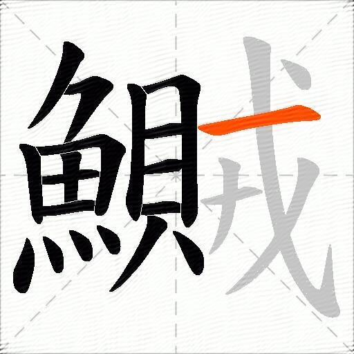 鱡