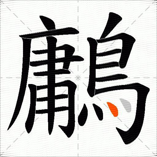 鷛