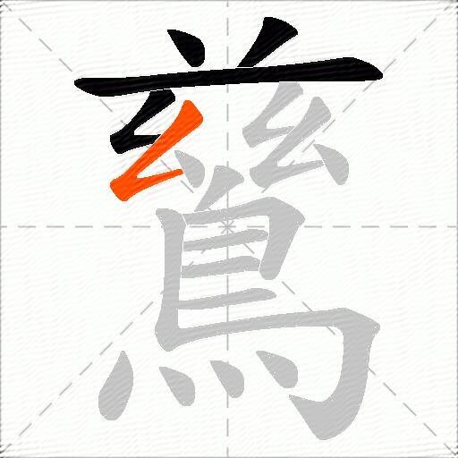 鶿
