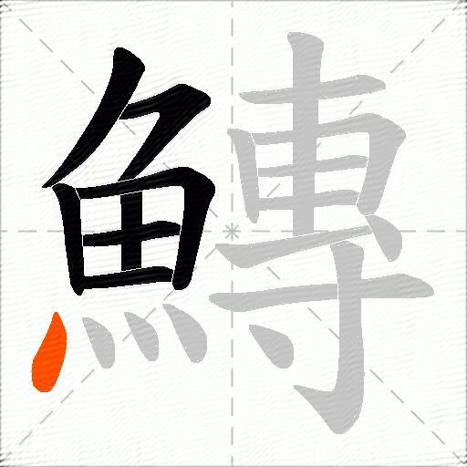 鱄