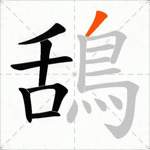 鴰