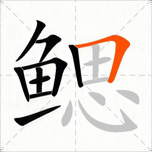 鳃