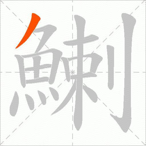 鯻
