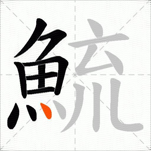 鯍