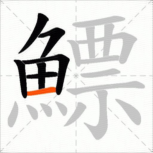 鰾