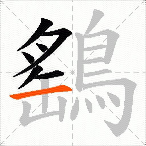 鷂