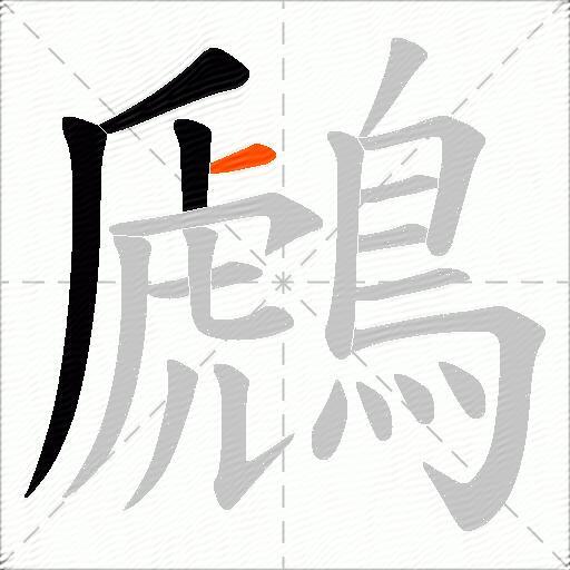 鷉