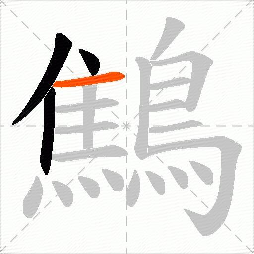 鷦