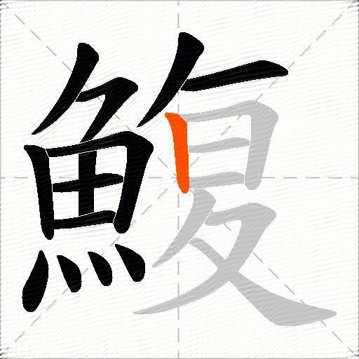 鰒