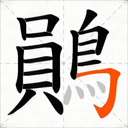 鶰