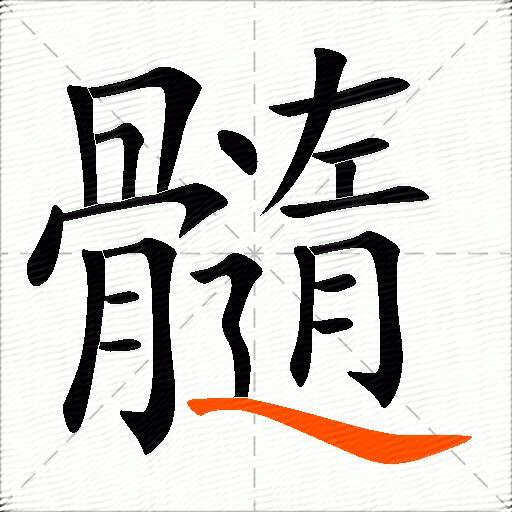 髓