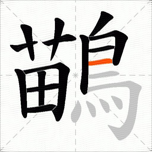 鶓