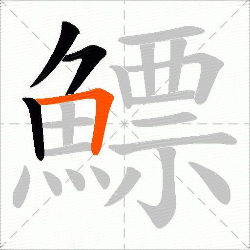 鰾