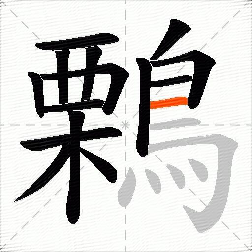 鷅