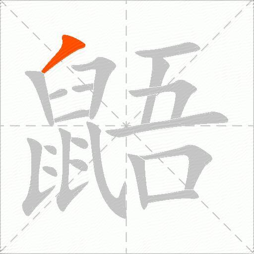 鼯