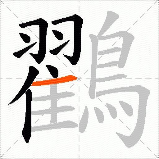 鸐