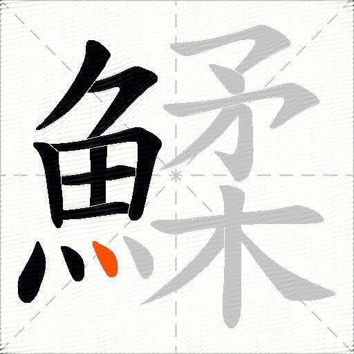 鰇