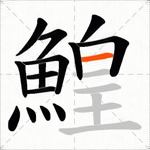 鰉