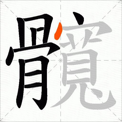 髖