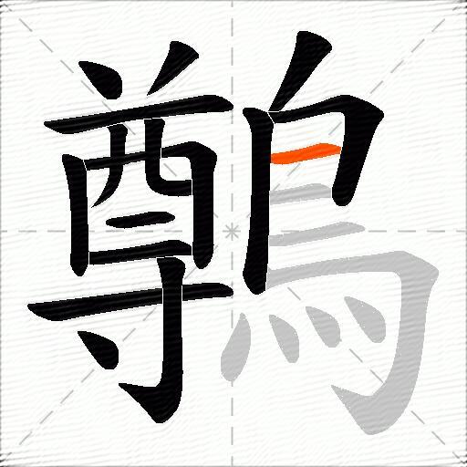 鷷