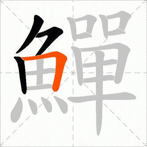 鱓