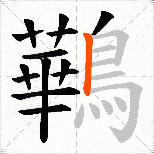 鷨