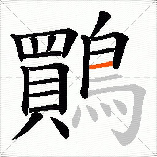鷶