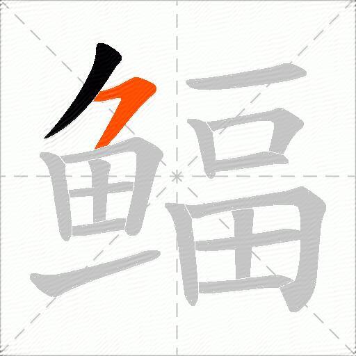 鲾