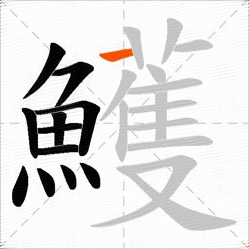 鱯