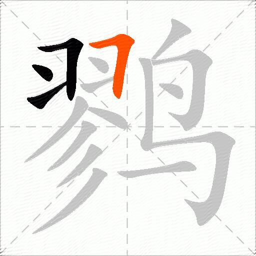 鹨
