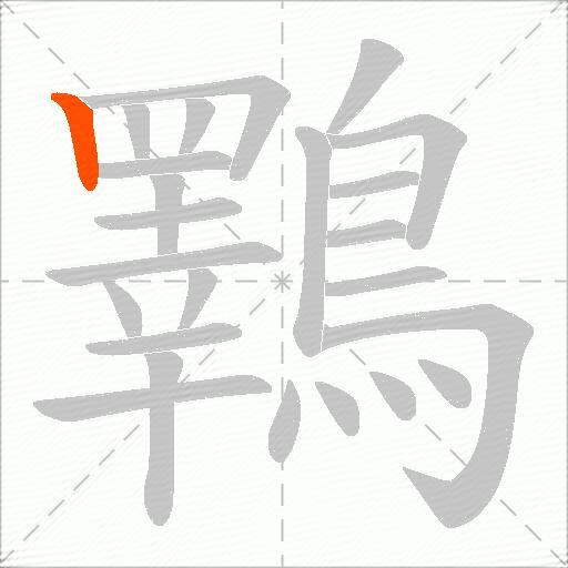 鸅