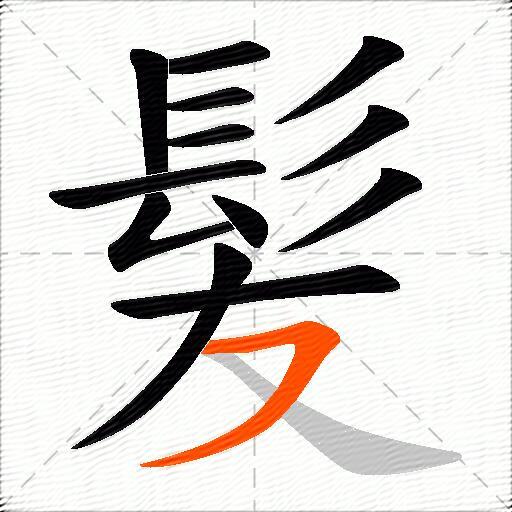 髪